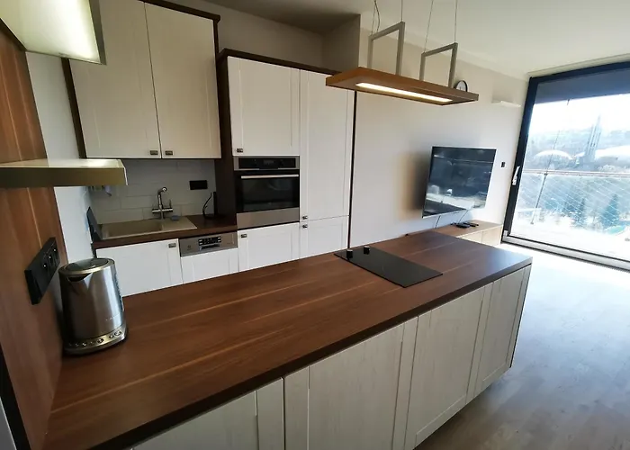 Free Parking Modern Smichov With Large Balcony * Prag